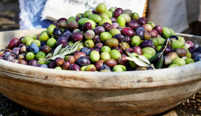 El İle Toplanan Zeytinlerin Saflığı