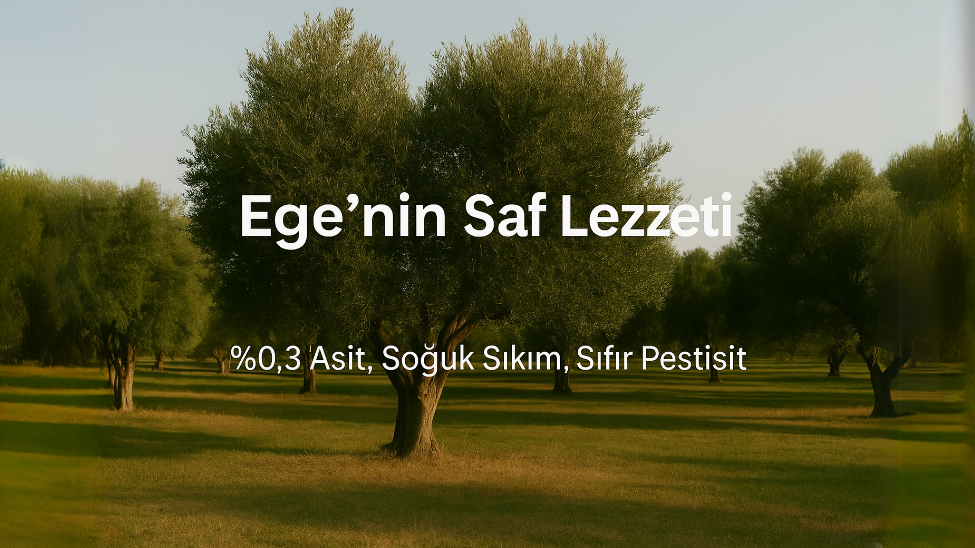 Ege Terra %100 Doğal Ürünler