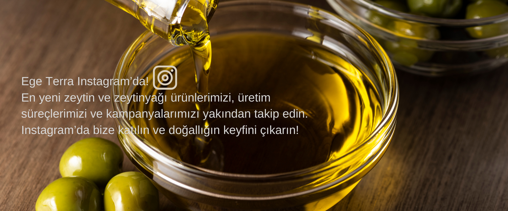 Ege Terra Instagram’da! En yeni zeytin ve zeytinyağı ürünlerimizi, üretim süreçlerimizi ve kampanyalarımızı yakından takip edin. Instagram’da bize katılın ve doğallığın keyfini çıkarın!