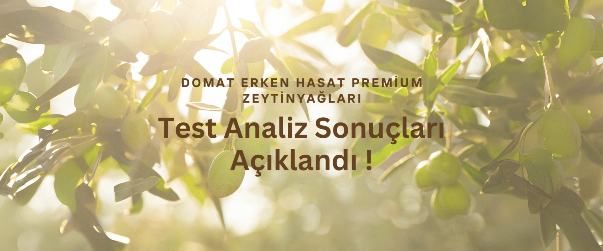 Domat Premium Zeytinyağı Test Analizi