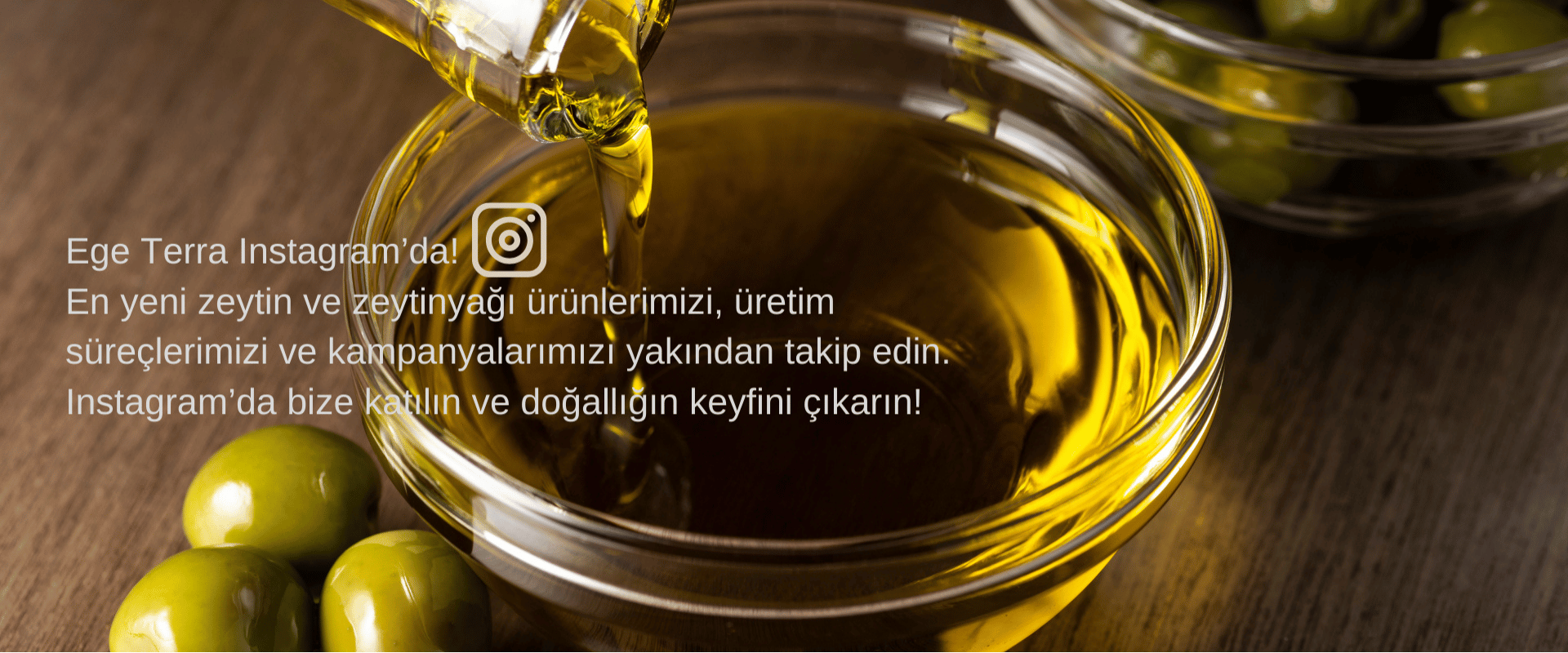 Ege Terra Instagram’da! En yeni zeytin ve zeytinyağı ürünlerimizi, üretim süreçlerimizi ve kampanyalarımızı yakından takip edin. Instagram’da bize katılın ve doğallığın keyfini çıkarın!
