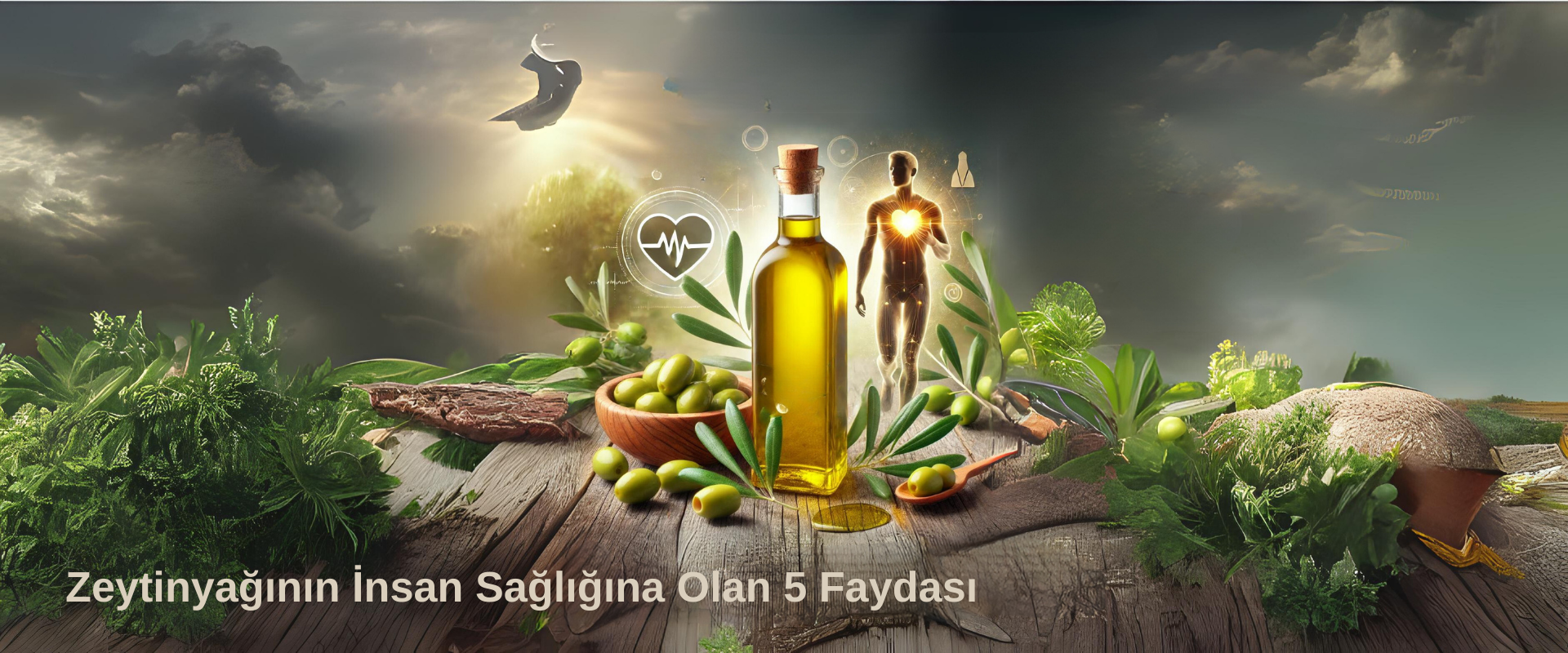 Zeytinyağının İnsan Sağlığına Olan 5 Faydası